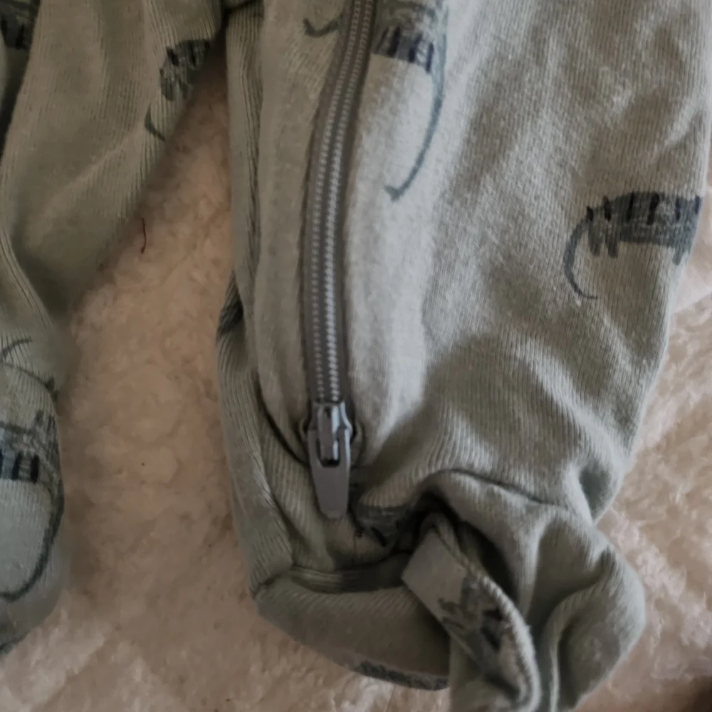 Dinosaur Print Baby Onesies Pair